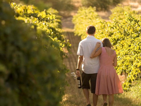 Novotel Barossa Valley Resort - Accommodation Ballina 40