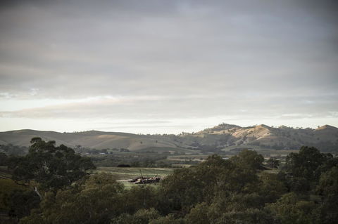 Novotel Barossa Valley Resort - Accommodation Ballina 23