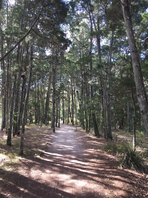 Brunswick Heads Treetop Studio - Accommodation Ballina 8