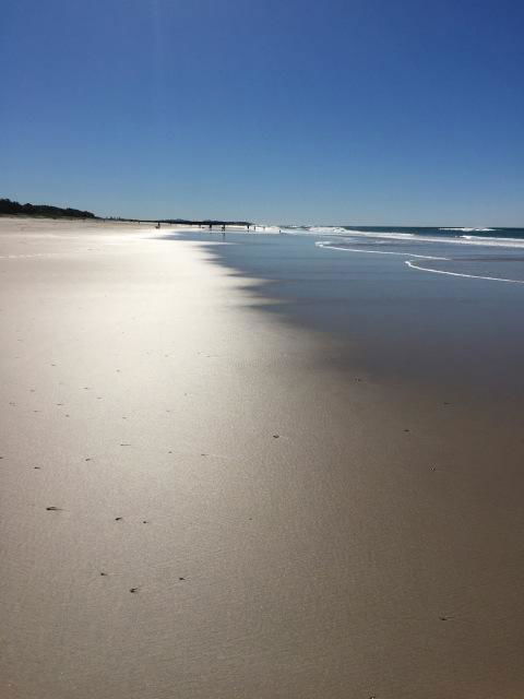 Brunswick Heads Treetop Studio - Accommodation Ballina 23