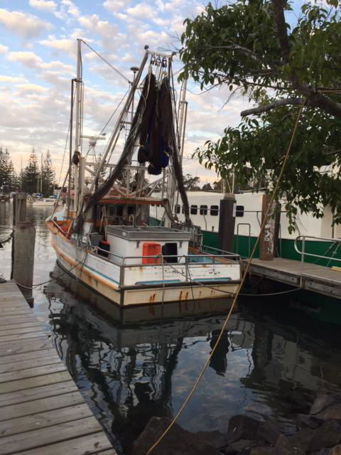 Brunswick Heads Treetop Studio - Accommodation Ballina 25