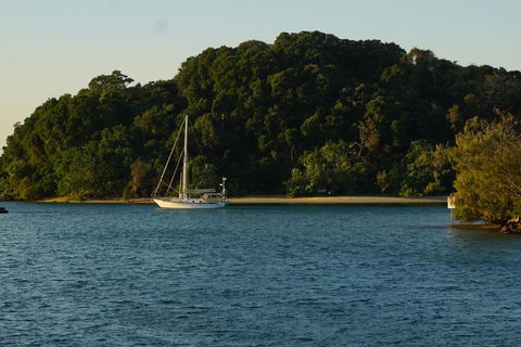 Brunswick Heads Treetop Studio - Accommodation Ballina 9