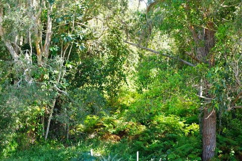 Brunswick Heads Treetop Studio - Accommodation Ballina 20