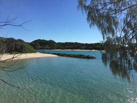 Brunswick Heads Treetop Studio - Accommodation Ballina 22