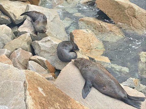 Penthouse On The Promenade - Accommodation Ballina 17