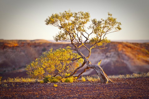 The Lookout Cave Underground Motel - Accommodation Ballina 22