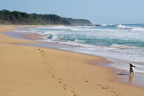 Culburra Beachhouse - Accommodation Ballina 7