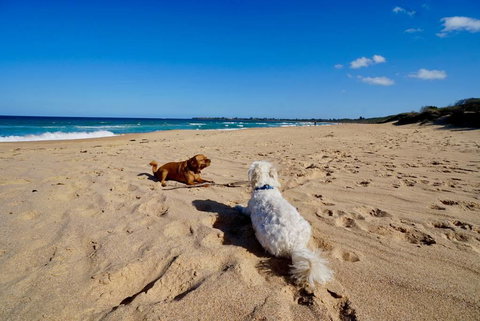 Culburra Beachhouse - Accommodation Ballina 8