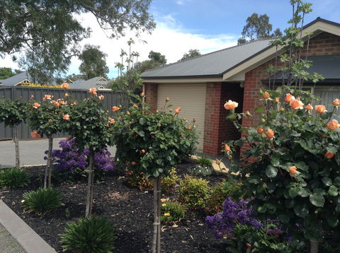 C And C Tanunda - Accommodation Ballina 1