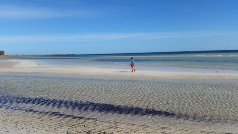 Seafront Shack - Accommodation Ballina 9