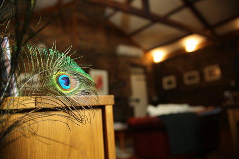 William Hunt's Retreat - Cypress Studio - Accommodation Ballina 16