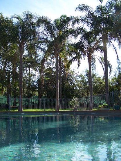 Abcot Inn - Accommodation Ballina 27