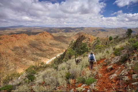 Arkaroola Wilderness Sanctuary - Accommodation Ballina 4