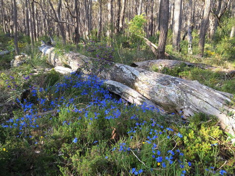 Simala Retreat - Accommodation Ballina 1