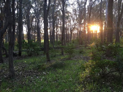 Simala Retreat - Accommodation Ballina 4