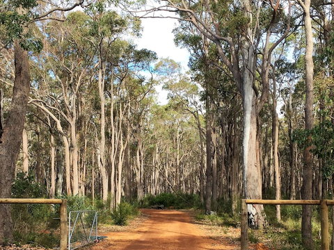 Simala Retreat - Accommodation Ballina 6