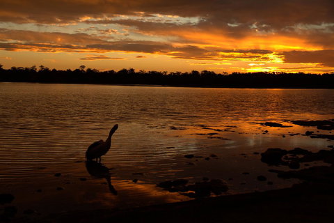 Dungowan Holiday Accommodation - Accommodation Ballina 31