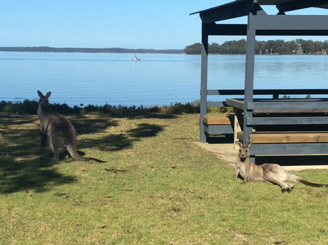 Dungowan Holiday Accommodation - Accommodation Ballina 33