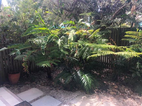 East On Byron - Accommodation Ballina 40