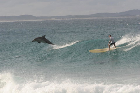 Crescent Head Spa Villa - Accommodation Ballina 22