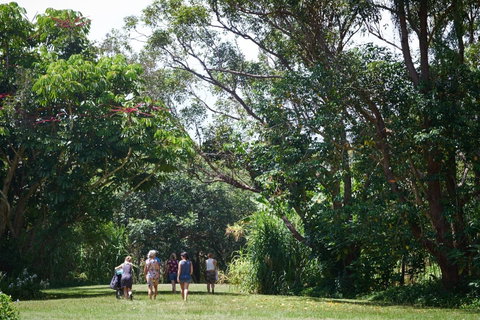 Ingenia Holidays Byron Bay - Accommodation Ballina 11