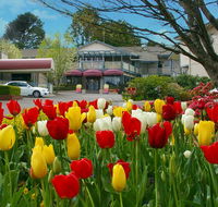 Nesuto Leura Gardens formerly Waldorf Leura Gardens Resort - Accommodation Ballina