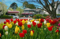 Book Leura Accommodation Vacations Accommodation Ballina Accommodation Ballina