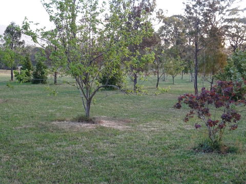 Romanz In The Valley (Luxury B&B) - Accommodation Ballina 32