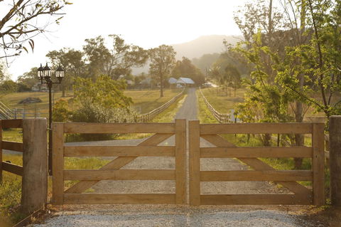 Romanz In The Valley (Luxury B&B) - Accommodation Ballina 35