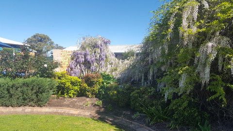 Almond Inn - Accommodation Ballina 28