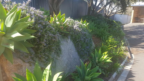 Almond Inn - Accommodation Ballina 27