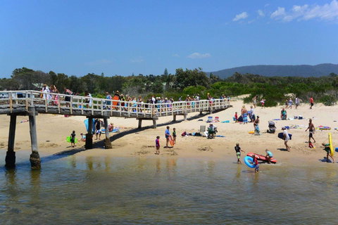 Bellhaven 2, 17 Willow Street - Accommodation Ballina 6