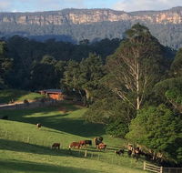 Amaroo Valley Springs - Accommodation Ballina