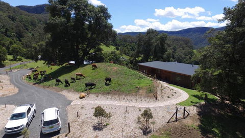 Amaroo Valley Springs - Accommodation Ballina 19
