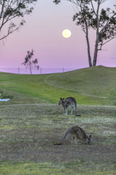 Oaks Cypress Lakes Resort - Accommodation Ballina 28