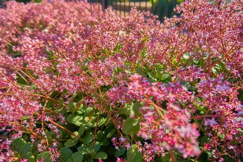 Hunter Oasis - Accommodation Ballina 37