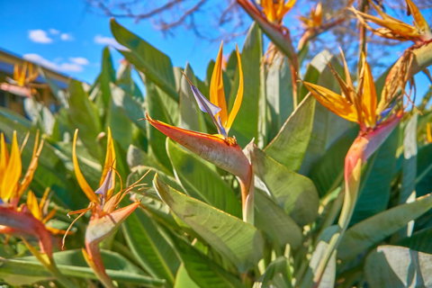 Hunter Oasis - Accommodation Ballina 33