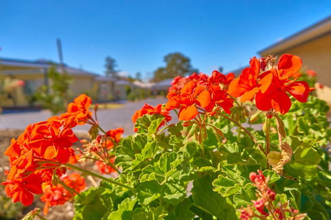 Hunter Oasis - Accommodation Ballina 42