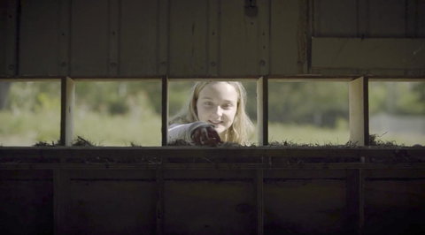 The Woods Farm Jervis Bay - Accommodation Ballina 11