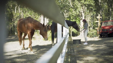 The Woods Farm Jervis Bay - Accommodation Ballina 13