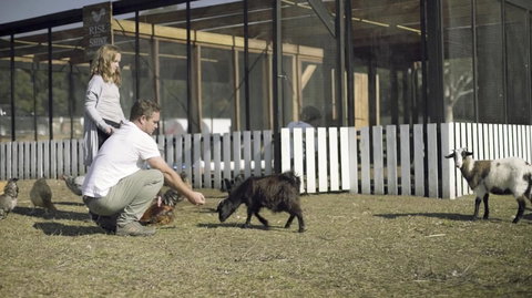 The Woods Farm Jervis Bay - Accommodation Ballina 14