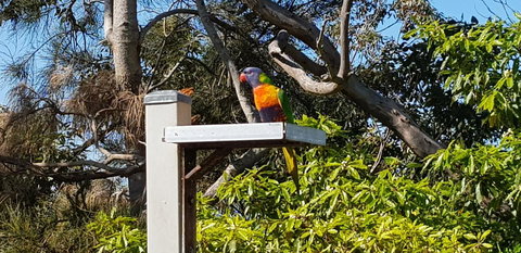 The Edgewater On Greville - Accommodation Ballina 15