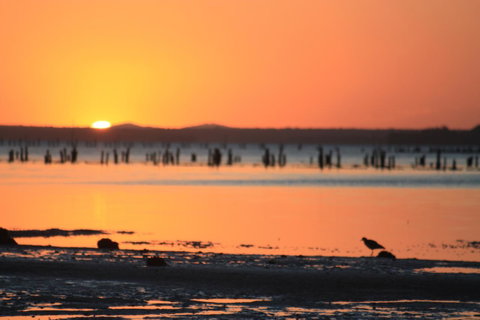 Ambience - Accommodation Ballina 35