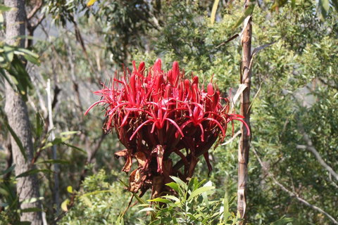 Ambience - Accommodation Ballina 30