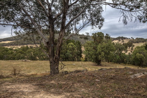 Pound Creek Gallery - Accommodation Ballina 29