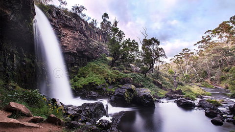 Pound Creek Gallery - Accommodation Ballina 14