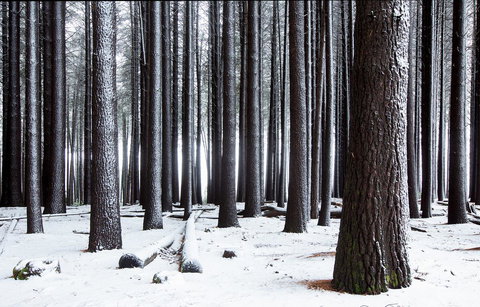 Pound Creek Gallery - Accommodation Ballina 2