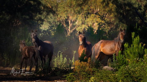 Pound Creek Gallery - Accommodation Ballina 18