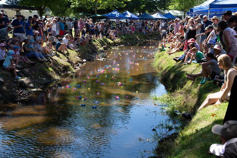 Pound Creek Gallery - Accommodation Ballina 15