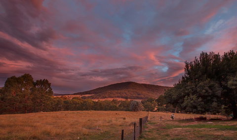 Pound Creek Gallery - Accommodation Ballina 28